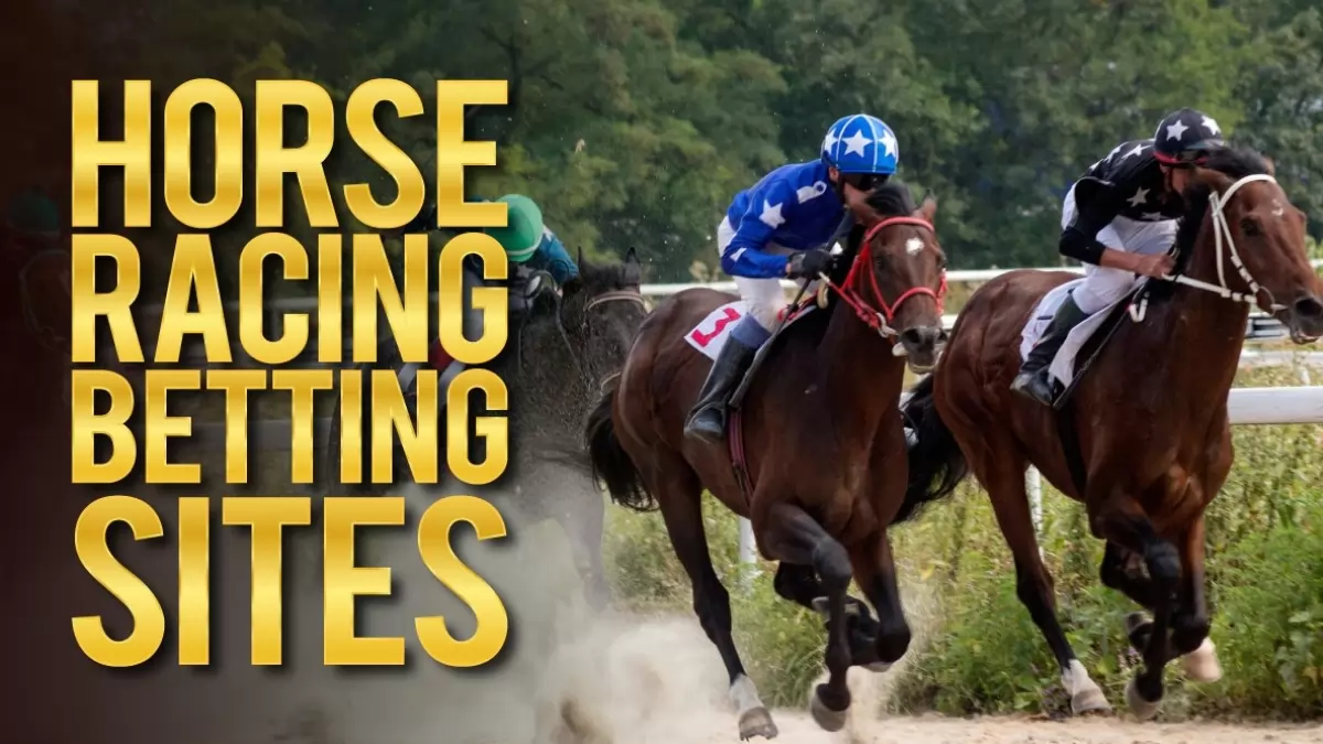 Top 17 Horse Racing Betting Sites for You 